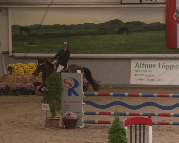 Reitturnier Legden | Ponyturnier 2024