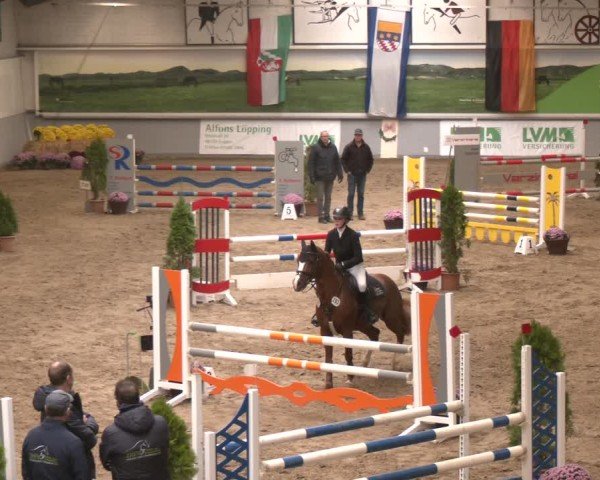 Reitturnier Legden | Ponyturnier 2024