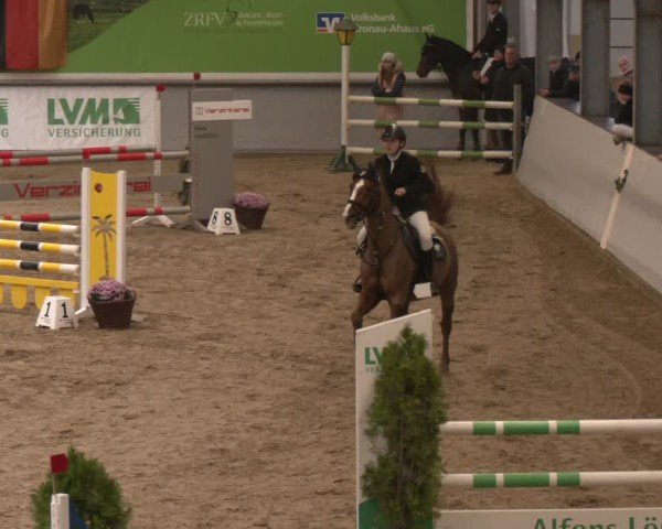 Reitturnier Legden | Ponyturnier 2024