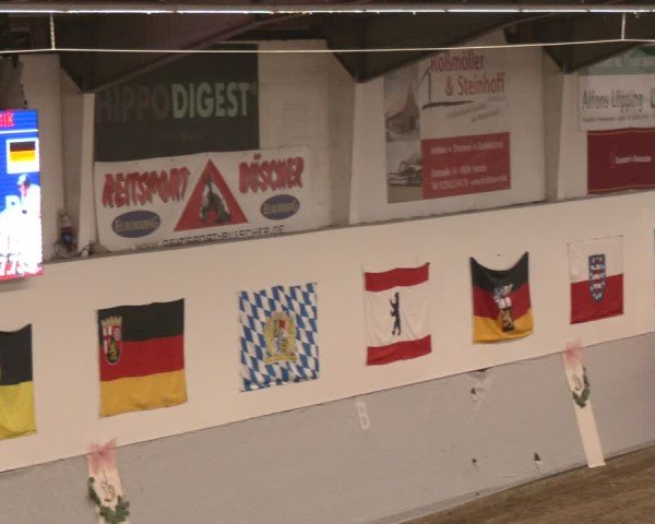 Reitturnier Legden | Ponyturnier 2024
