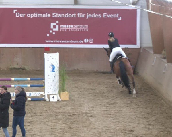 Reitturnier Bad Salzuflen 2024