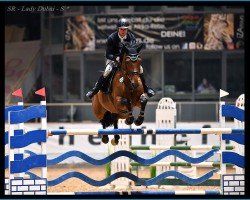 jumper SR - Lady Dubai (Belgian Warmblood, 2017, from Jenson van't Meulenhof)