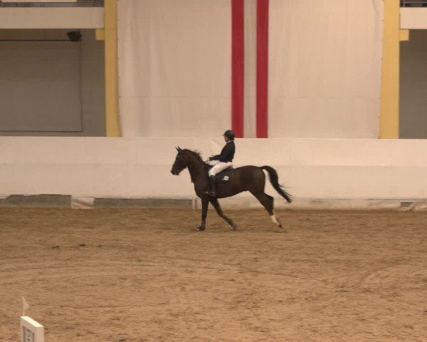 Reitturnier Stadl-Paura 2024
