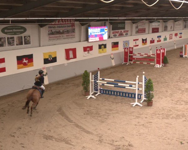 Reitturnier Legden | Ponyturnier 2024