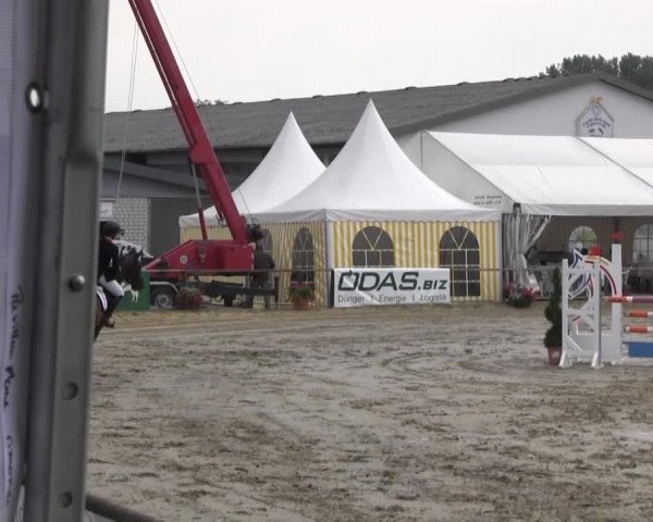 Waltroper Reitertage vom 06.-11.08.2013