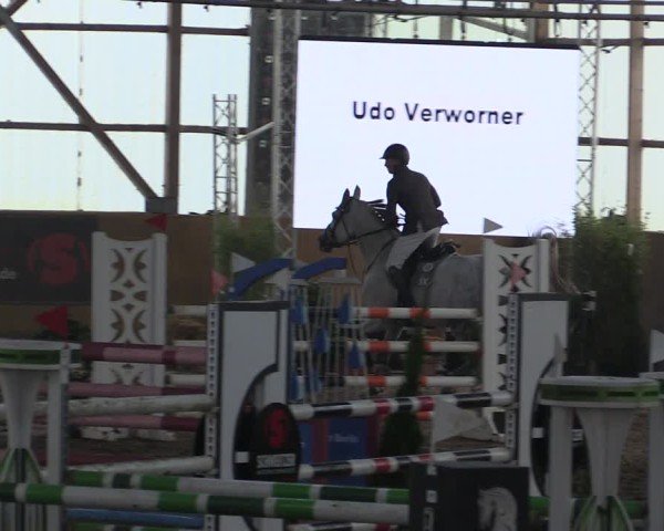 Reitturnier Pausin 2024