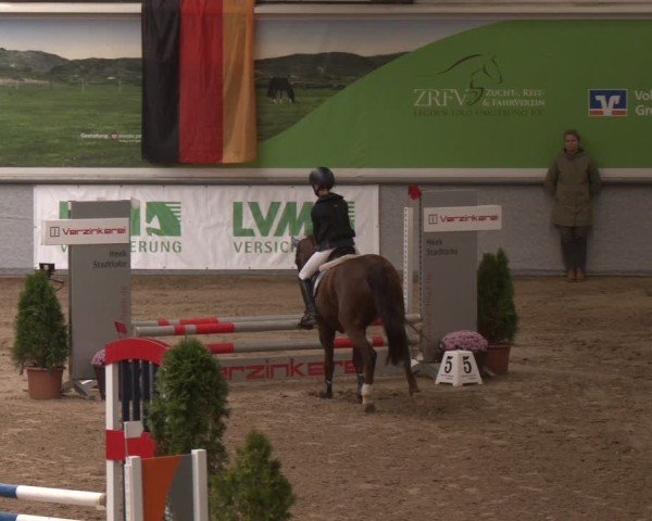 Reitturnier Legden | Ponyturnier 2024