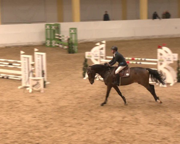 Reitturnier Stadl-Paura 2024