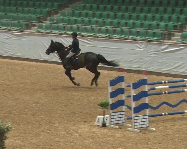Reitturnier Kreuth/Opf. 2024