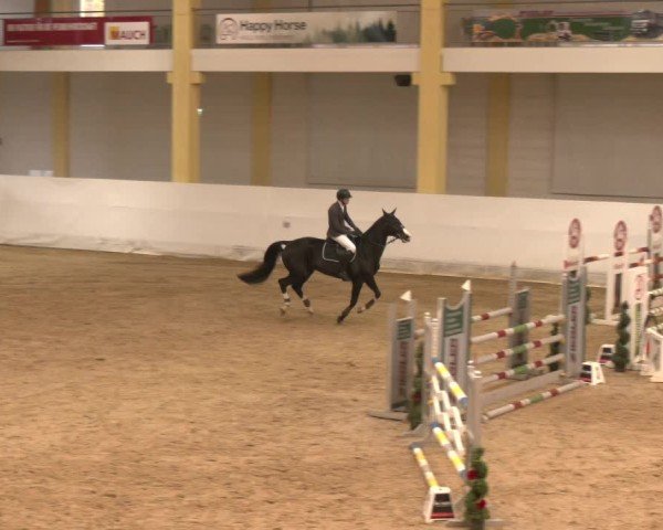 Reitturnier Stadl-Paura 2024