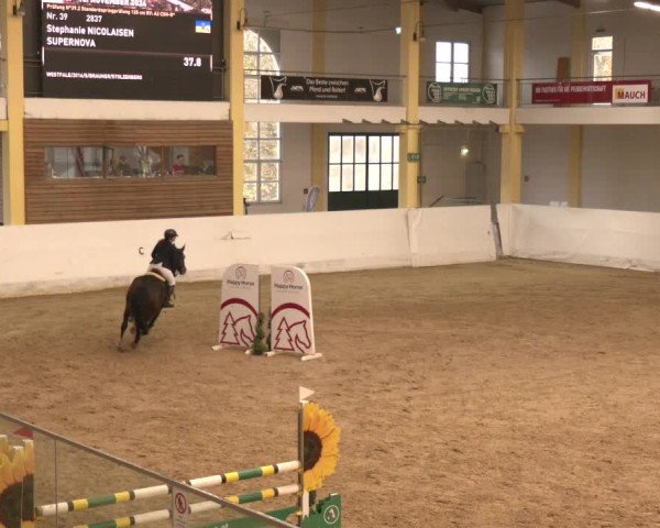Reitturnier Stadl-Paura 2024
