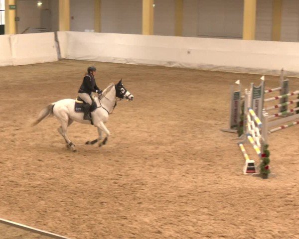 Reitturnier Stadl-Paura 2024