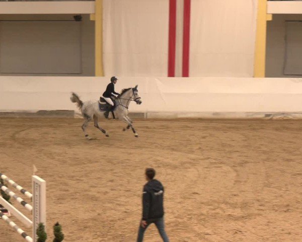 Reitturnier Stadl-Paura 2024