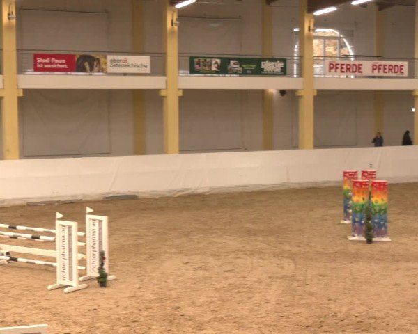 Reitturnier Stadl-Paura 2024