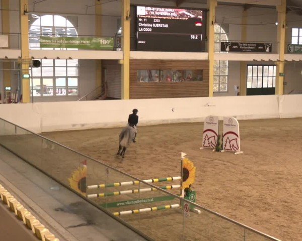 Reitturnier Stadl-Paura 2024
