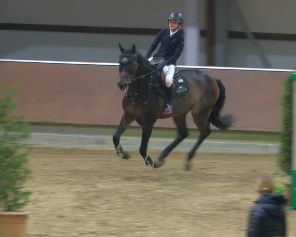 Reitturnier Gahlen 2024