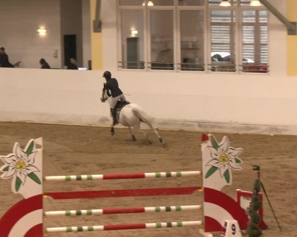Reitturnier Stadl-Paura 2024