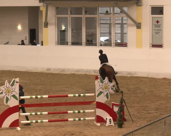 Reitturnier Stadl-Paura 2024