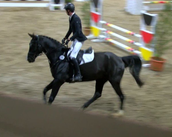 Reitturnier Gahlen 2024