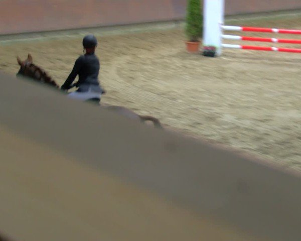 Reitturnier Gahlen 2024