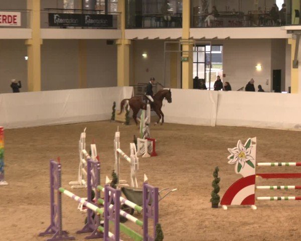 Reitturnier Stadl-Paura 2024