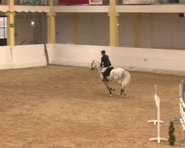 Reitturnier Stadl-Paura 2024