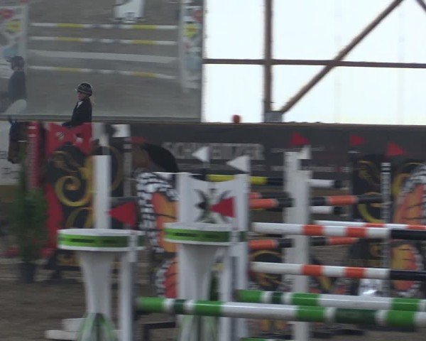 Reitturnier Pausin 2024