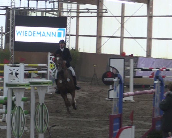 Reitturnier Pausin 2024