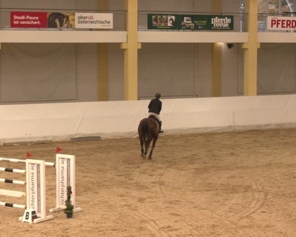 Reitturnier Stadl-Paura 2024