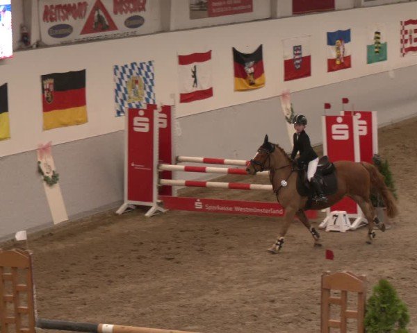 Reitturnier Legden | Ponyturnier 2024