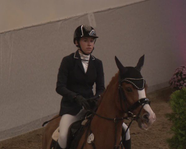 Reitturnier Legden | Ponyturnier 2024