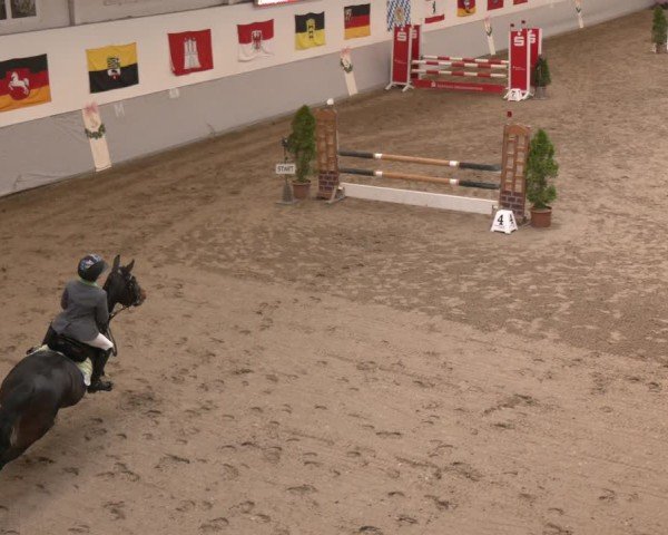 Reitturnier Legden | Ponyturnier 2024