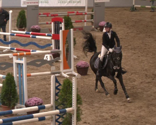 Reitturnier Legden | Ponyturnier 2024