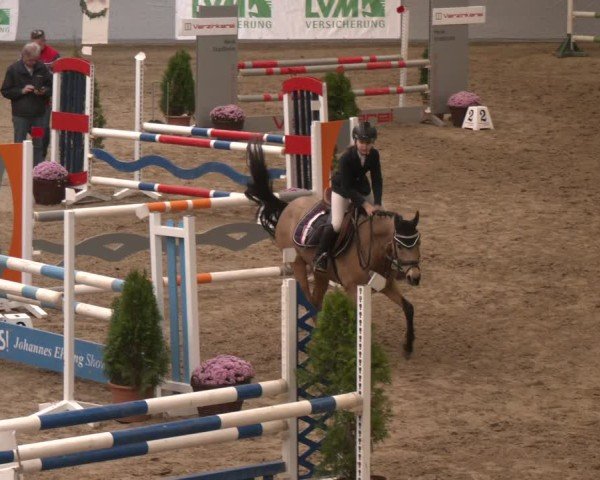 Reitturnier Legden | Ponyturnier 2024