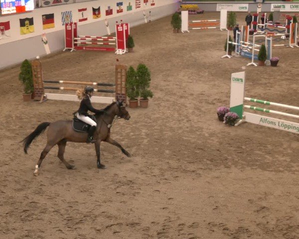Reitturnier Legden | Ponyturnier 2024
