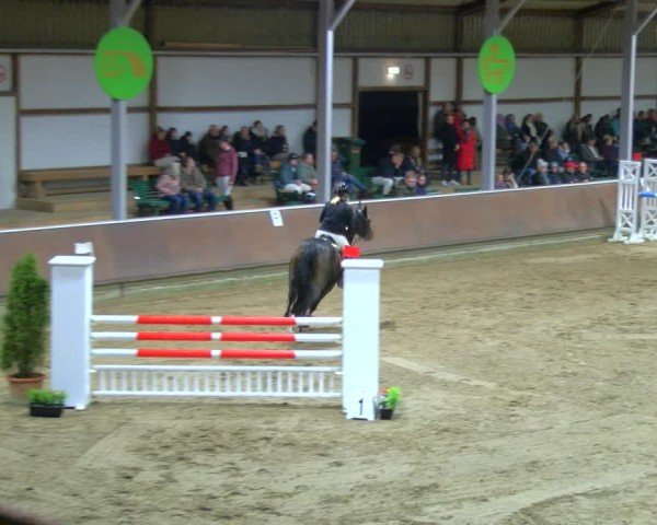 Reitturnier Gahlen 2024