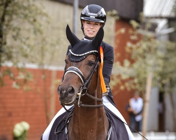 stallion Ecco Mw (Rhinelander, 2016, from Escolar)