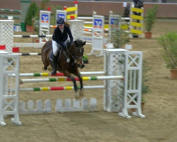 Reitturnier Gahlen 2024