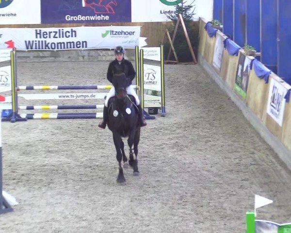 Reitturnier Großenwiehe 2024