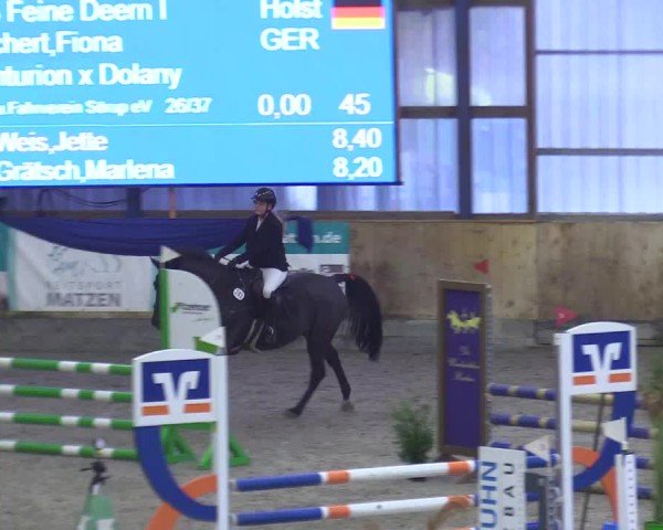 Reitturnier Großenwiehe 2024