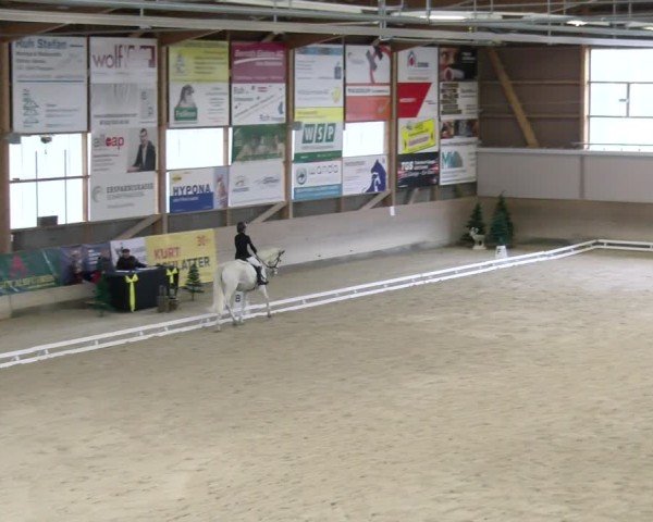 Reitturnier Schaffhausen 2024