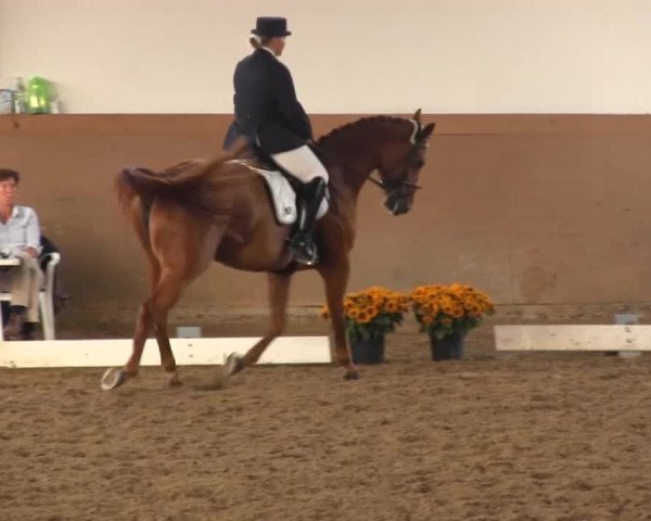 Waltroper Reitertage vom 06.-11.08.2013