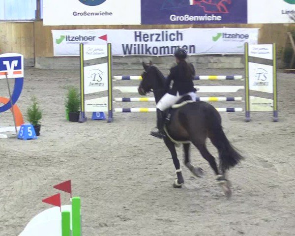 Reitturnier Großenwiehe 2024