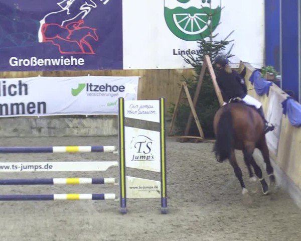 Reitturnier Großenwiehe 2024