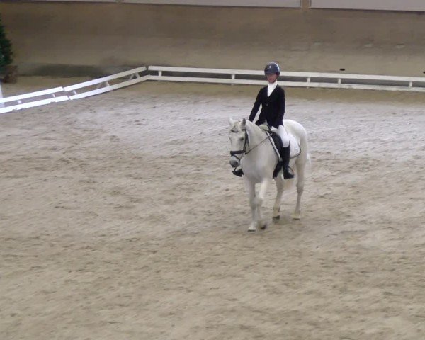 Reitturnier Schaffhausen 2024