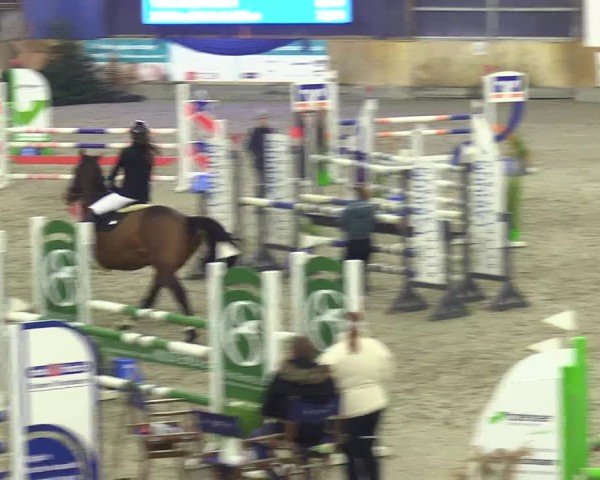 Reitturnier Großenwiehe 2024