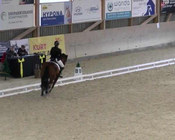 Reitturnier Schaffhausen 2024