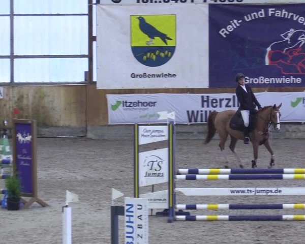Reitturnier Großenwiehe 2024