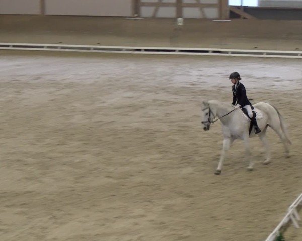 Reitturnier Schaffhausen 2024