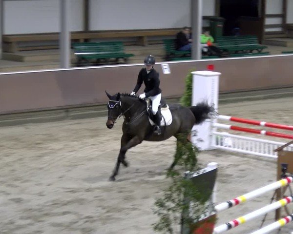Reitturnier Gahlen 2024